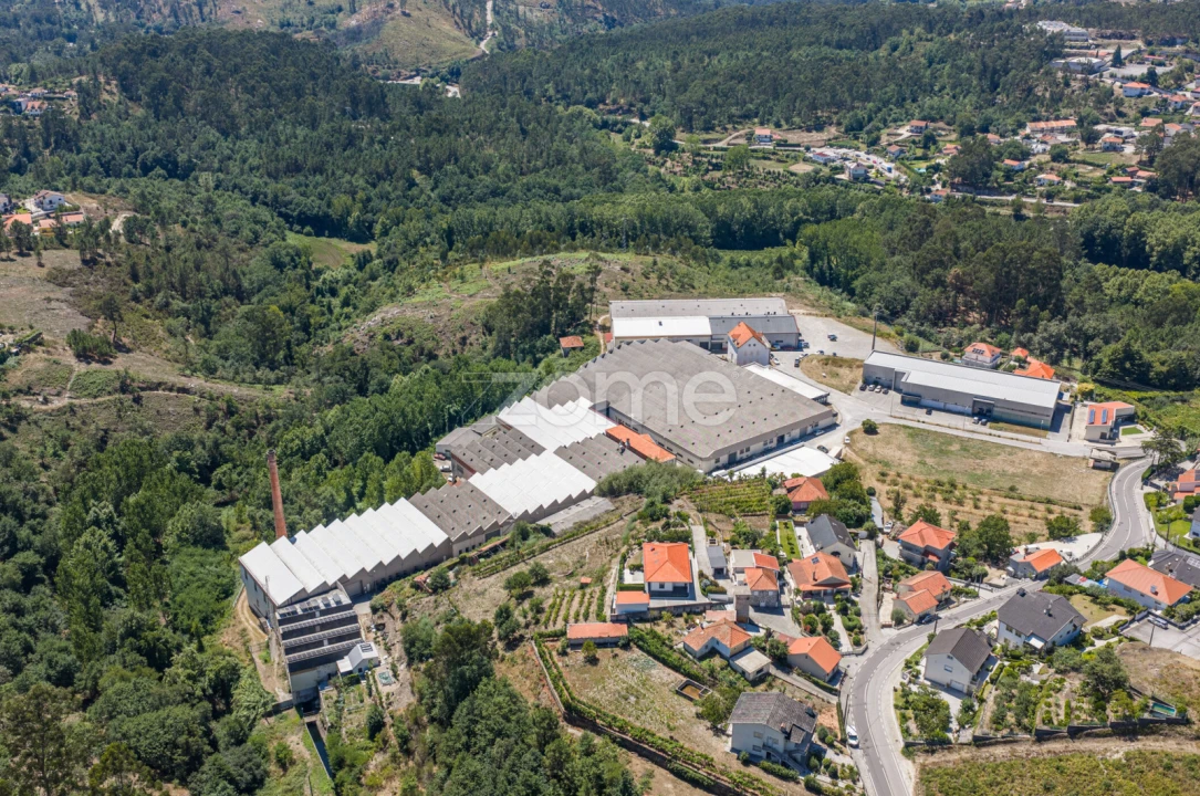 Terreno Comércio / Armazém para Venda em Silvares (São Martinho) Foto 18