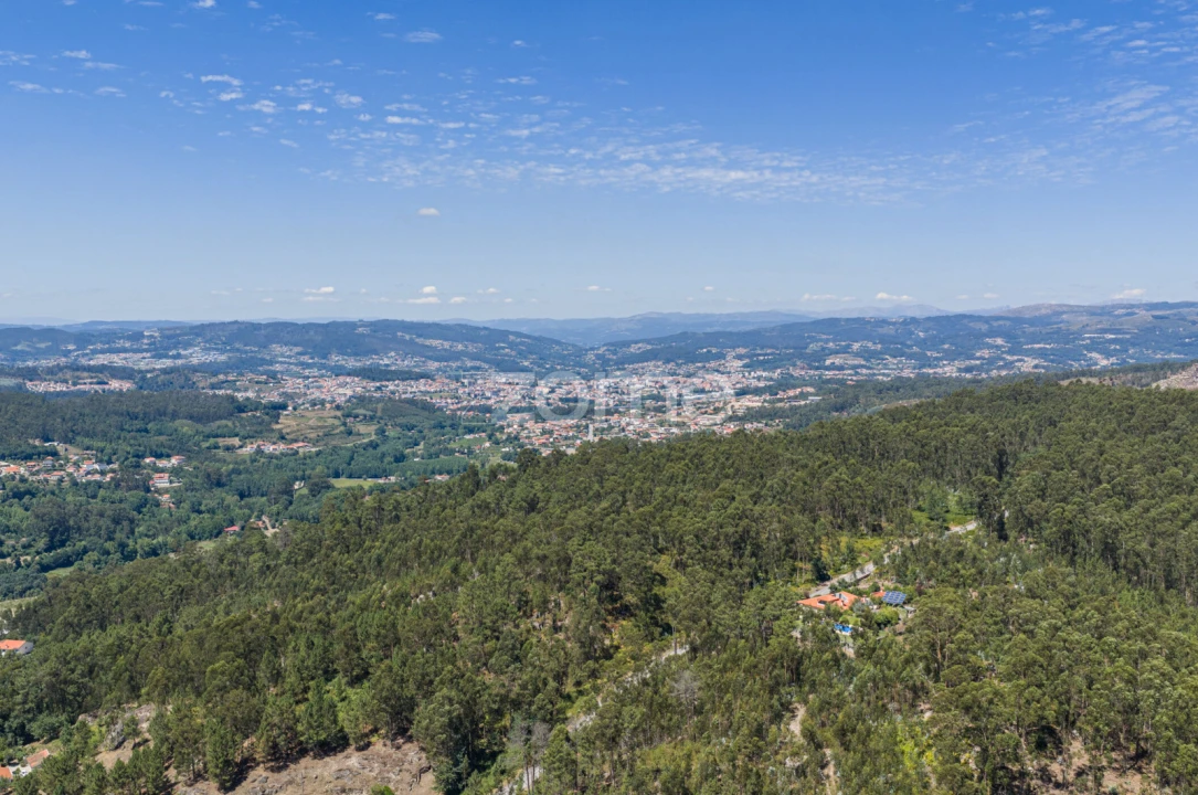Terreno Comércio / Armazém para Venda em Silvares (São Martinho) Foto 19