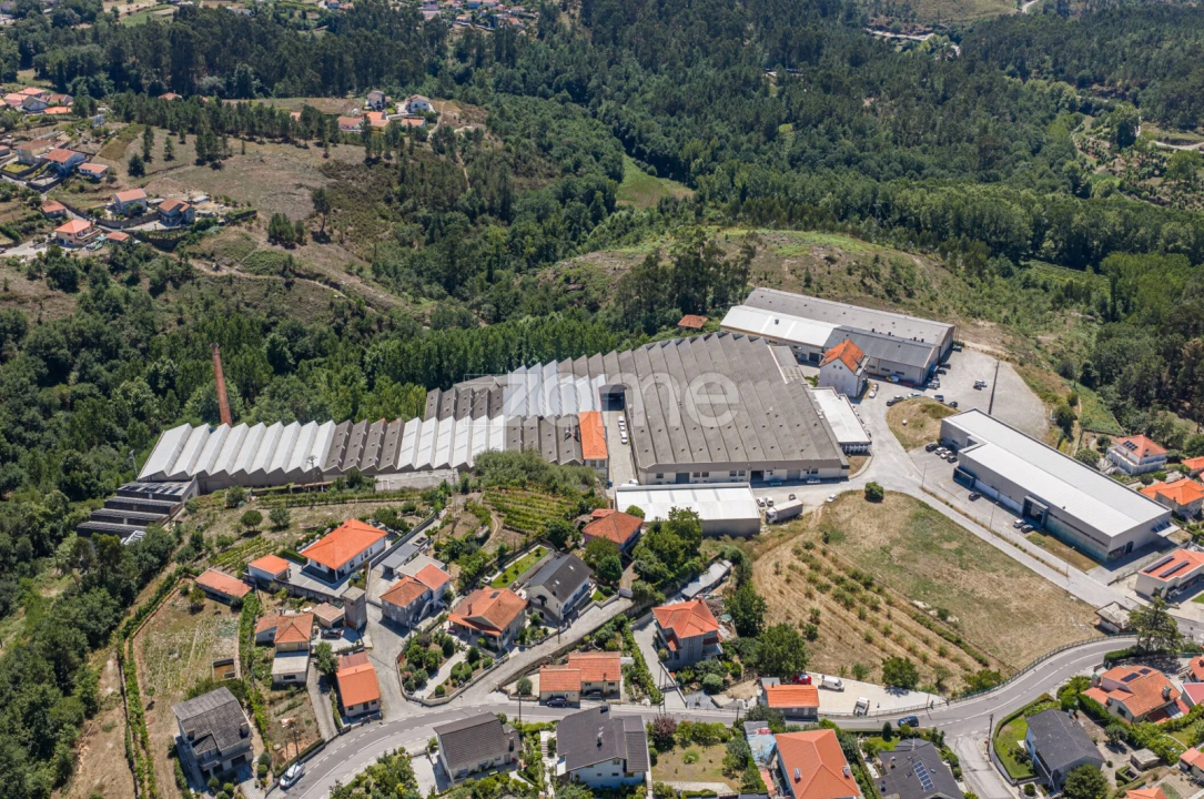Terreno Comércio / Armazém para Venda em Silvares (São Martinho) Foto 20