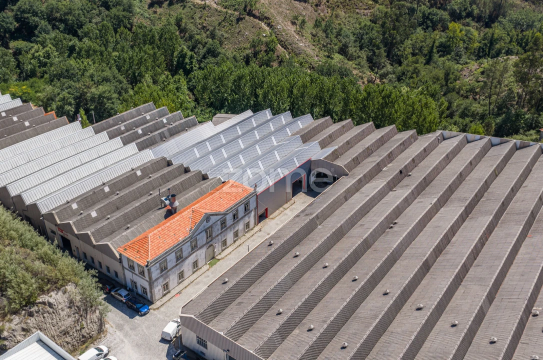 Terreno Comércio / Armazém para Venda em Silvares (São Martinho) Foto 21