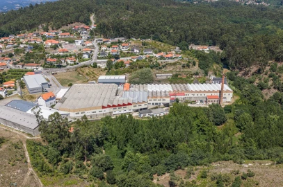 Terreno Comércio / Armazém para Venda em Silvares (São Martinho)