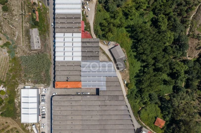 Terreno Comércio / Armazém para Venda em Silvares (São Martinho)