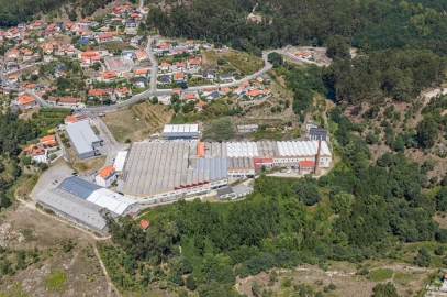 Terreno Comércio / Armazém para Venda em Silvares (São Martinho)