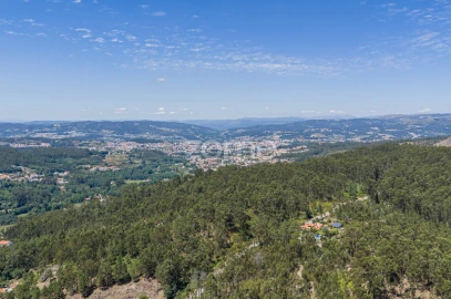 Terreno Comércio / Armazém para Venda em Silvares (São Martinho)