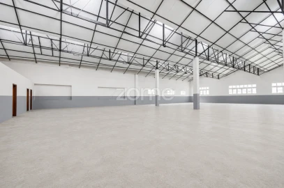 Terreno Comércio / Armazém para Venda em Silvares (São Martinho)