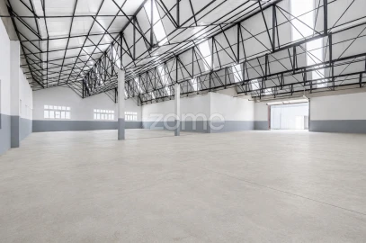 Terreno Comércio / Armazém para Venda em Silvares (São Martinho)