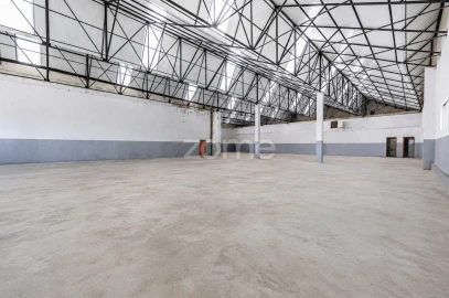 Terreno Comércio / Armazém para Venda em Silvares (São Martinho)