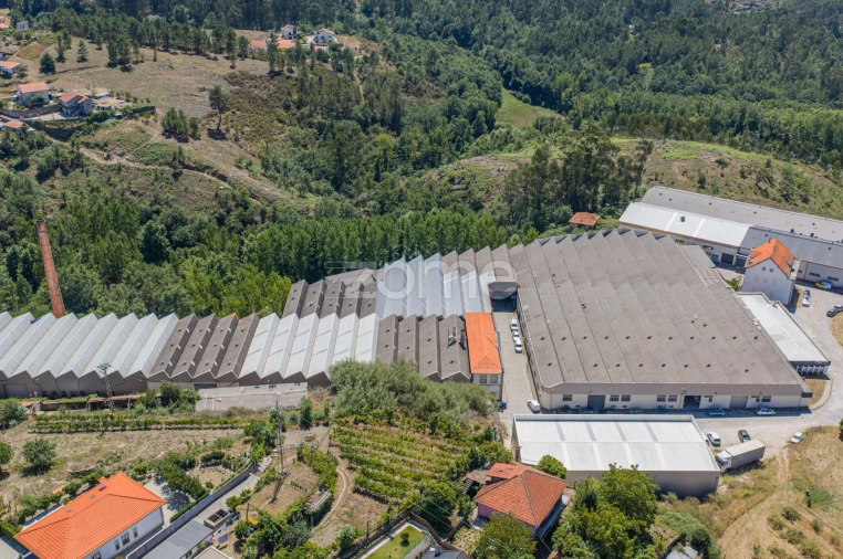 Terreno Comércio / Armazém para Venda em Silvares (São Martinho) Foto 14