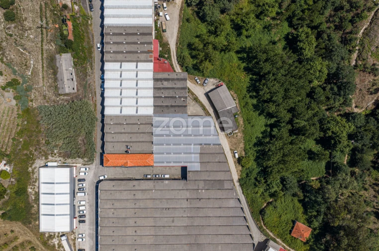 Terreno Comércio / Armazém para Venda em Silvares (São Martinho) Foto 15