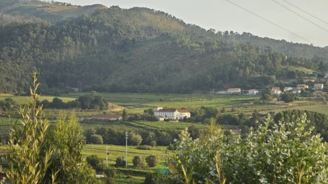 Quinta T3 para Venda em Feitosa