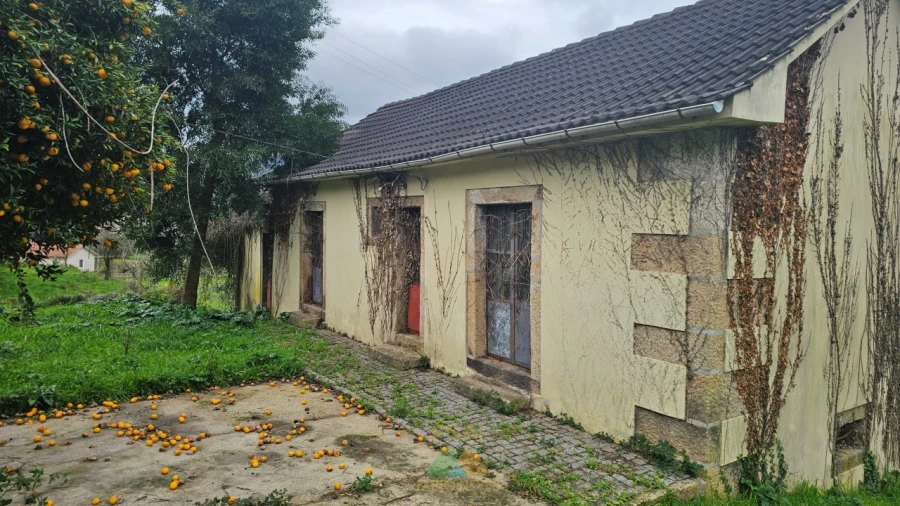 Quinta T3 para Venda em Feitosa Foto 5