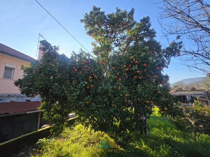 Moradia T2 para Venda em Távora (Santa Maria e São Vicente) Foto 13