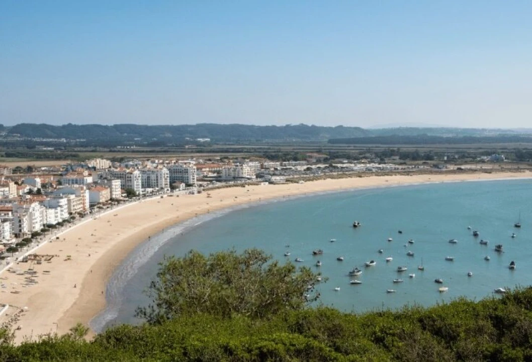 Quinta T1 para Venda em Tornada e Salir do Porto Foto 5