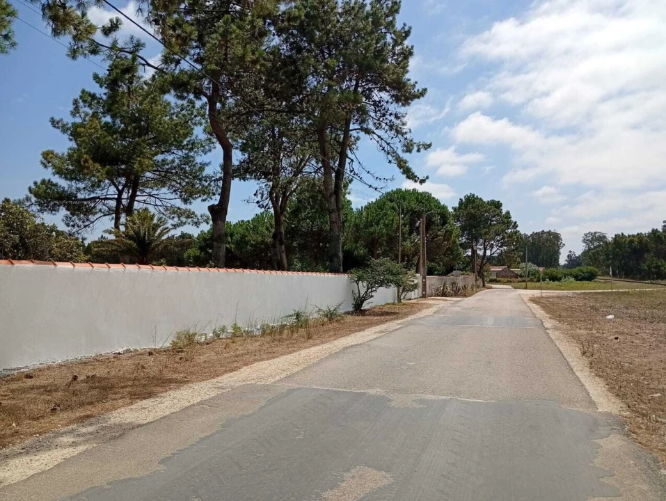 Quinta T1 para Venda em Tornada e Salir do Porto Foto 6