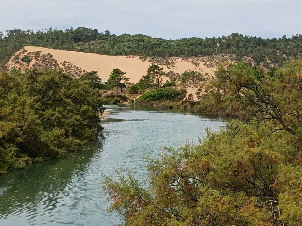 Quinta T1 para Venda em Tornada e Salir do Porto Foto 7