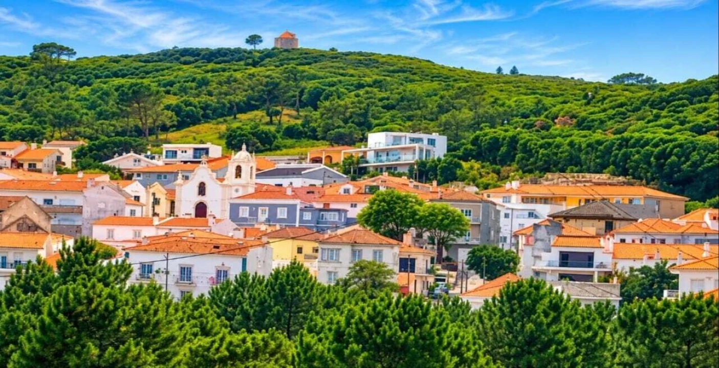 Quinta T1 para Venda em Tornada e Salir do Porto Foto 8