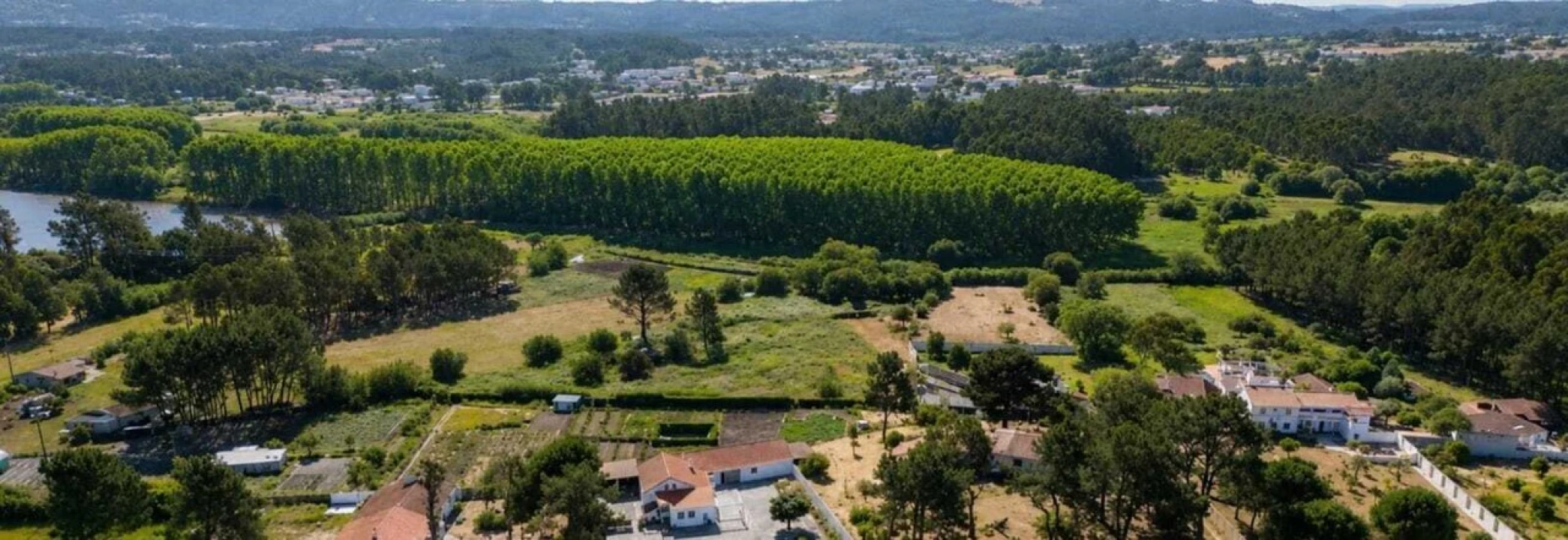 Quinta T1 para Venda em Tornada e Salir do Porto Foto 9