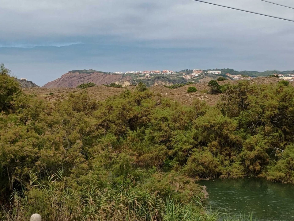 Quinta T1 para Venda em Tornada e Salir do Porto Foto 10