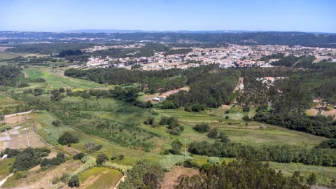 Quinta T1 para Venda em Tornada e Salir do Porto