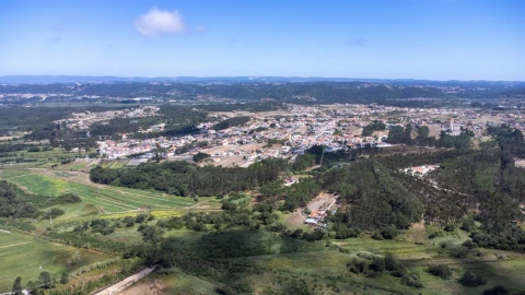 Quinta T1 para Venda em Tornada e Salir do Porto