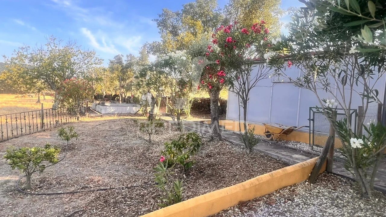 Quinta T1 para Venda em Ribeira de Nisa e Carreiras Foto 32
