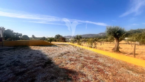 Quinta T1 para Venda em Ribeira de Nisa e Carreiras