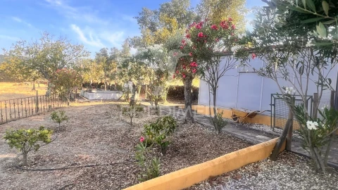 Quinta T1 para Venda em Ribeira de Nisa e Carreiras