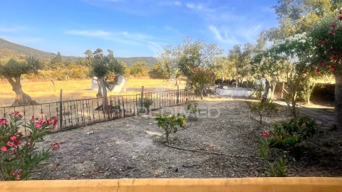 Quinta T1 para Venda em Ribeira de Nisa e Carreiras