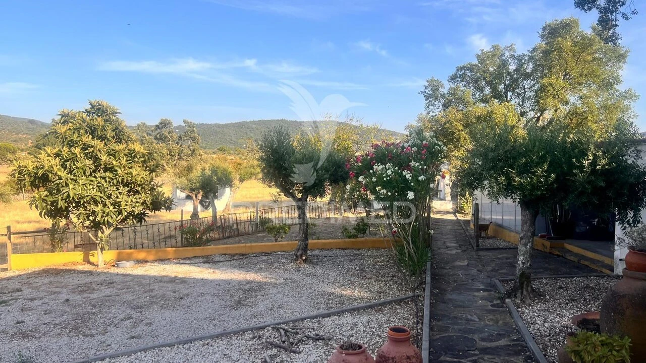 Quinta T1 para Venda em Ribeira de Nisa e Carreiras Foto 22