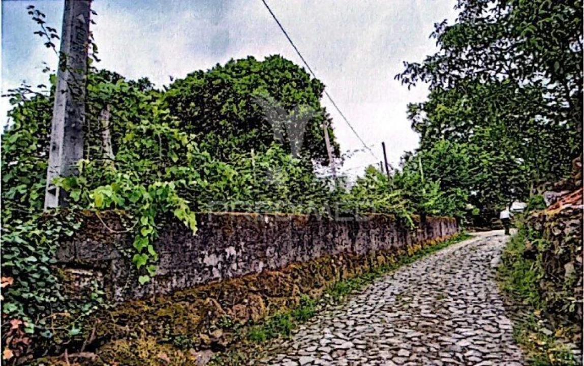 Moradia T4 para Venda em Pedraça Foto 31