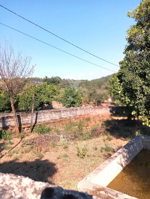 Moradia T4 para Venda em Pedraça