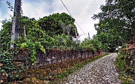 Moradia T4 para Venda em Pedraça
