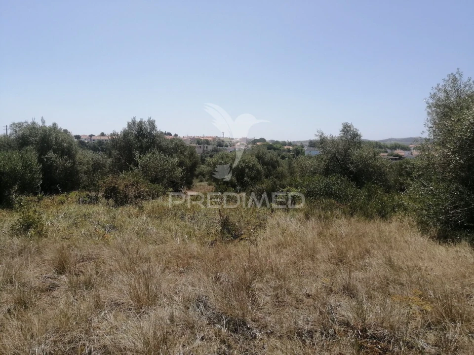 Terreno para Venda em Santa Maria e São Miguel, São Martinho, São Pedro Penaferrim Foto 9