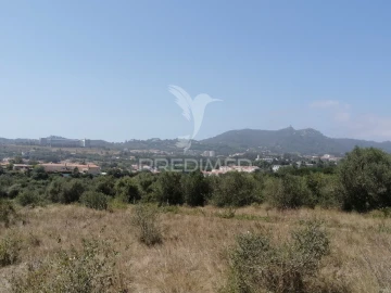 Terreno para Venda em Santa Maria e São Miguel, São Martinho, São Pedro Penaferrim