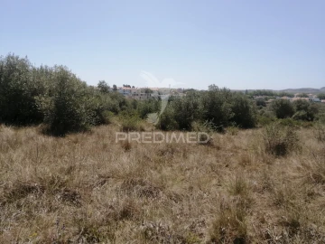 Terreno para Venda em Santa Maria e São Miguel, São Martinho, São Pedro Penaferrim