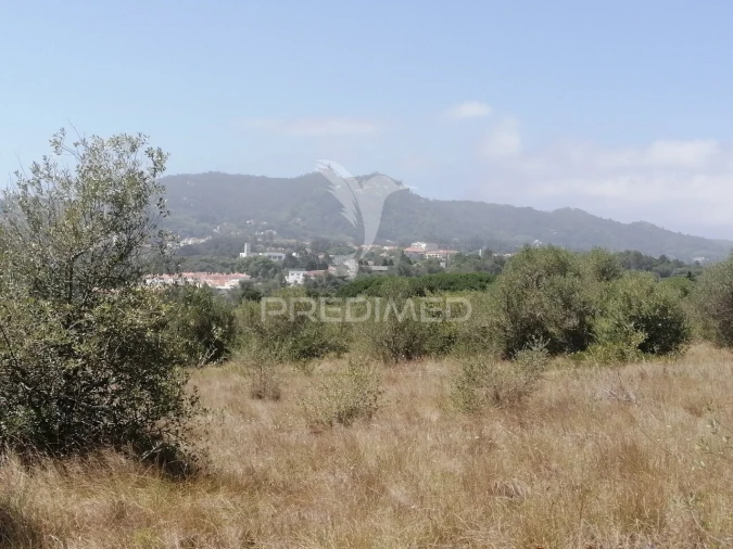 Terreno para Venda em Santa Maria e São Miguel, São Martinho, São Pedro Penaferrim Foto 10