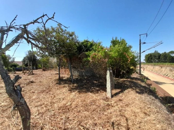 Moradia T0 para Venda em Oliveira do Conde Foto 5