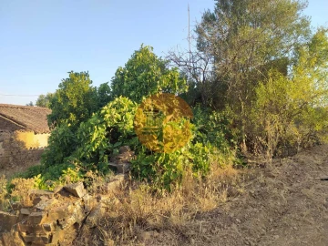Moradia T2 para Venda em Azinhal