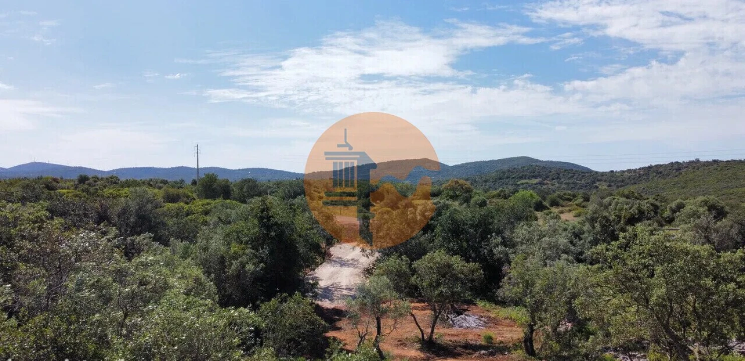 Terreno para Venda em São Brás de Alportel Foto 18