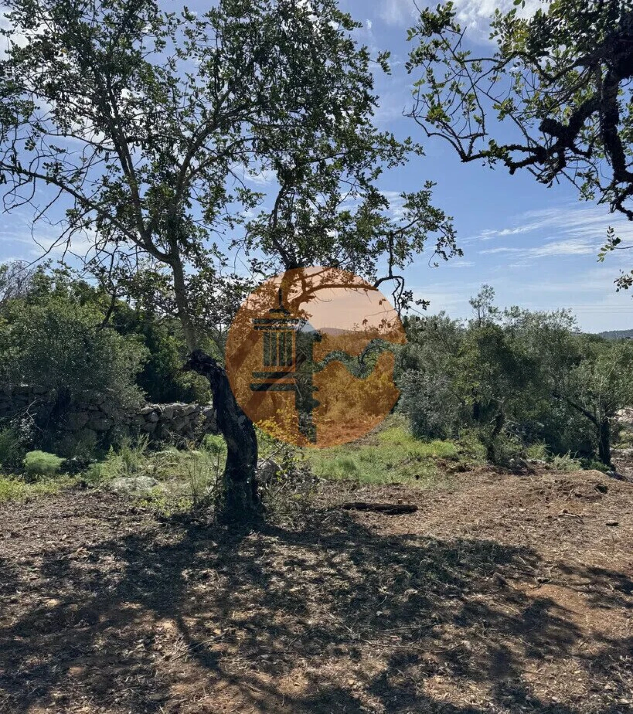 Terreno para Venda em São Brás de Alportel Foto 20