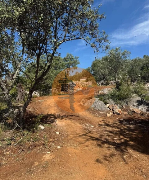 Terreno para Venda em São Brás de Alportel