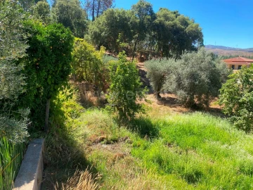 Quinta T0 para Venda em Castelejo
