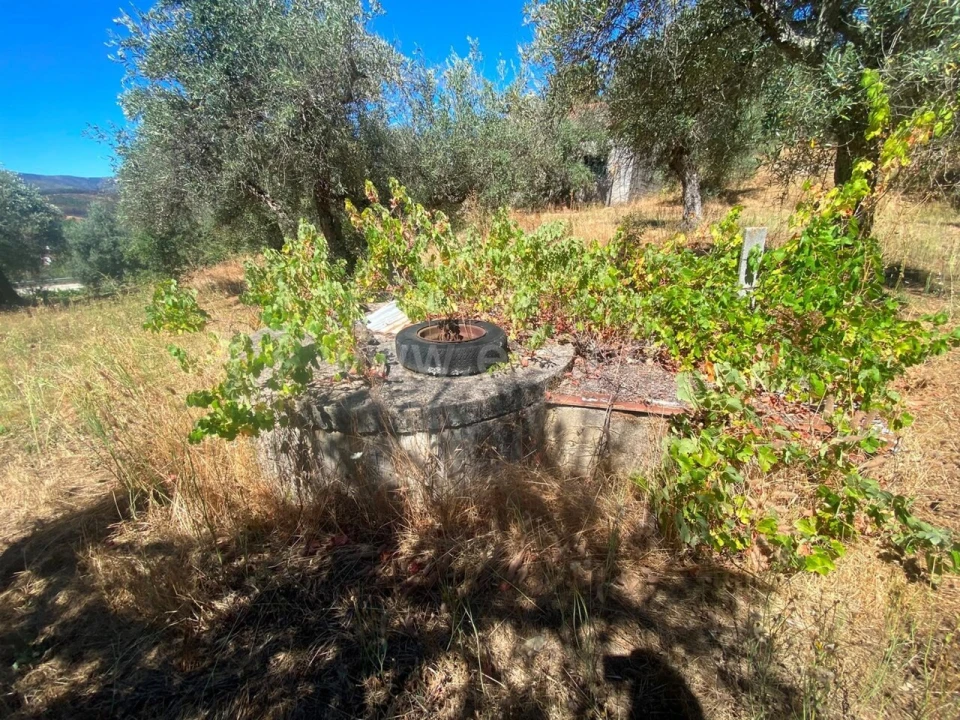 Quinta T0 para Venda em Castelejo Foto 3