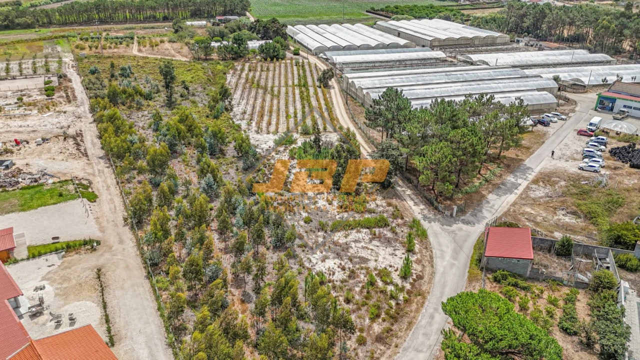 Terreno para Venda em Tornada e Salir do Porto Foto 4