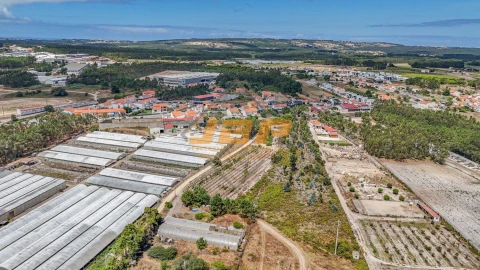 Terreno para Venda em Tornada e Salir do Porto