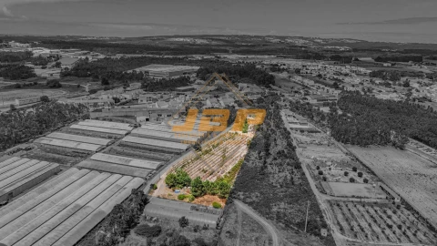 Terreno para Venda em Tornada e Salir do Porto