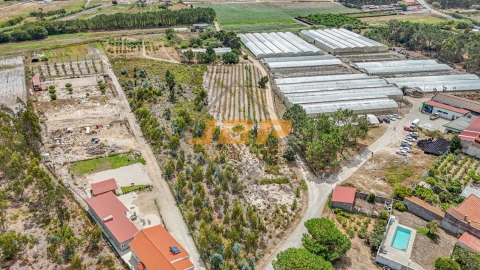 Terreno para Venda em Tornada e Salir do Porto