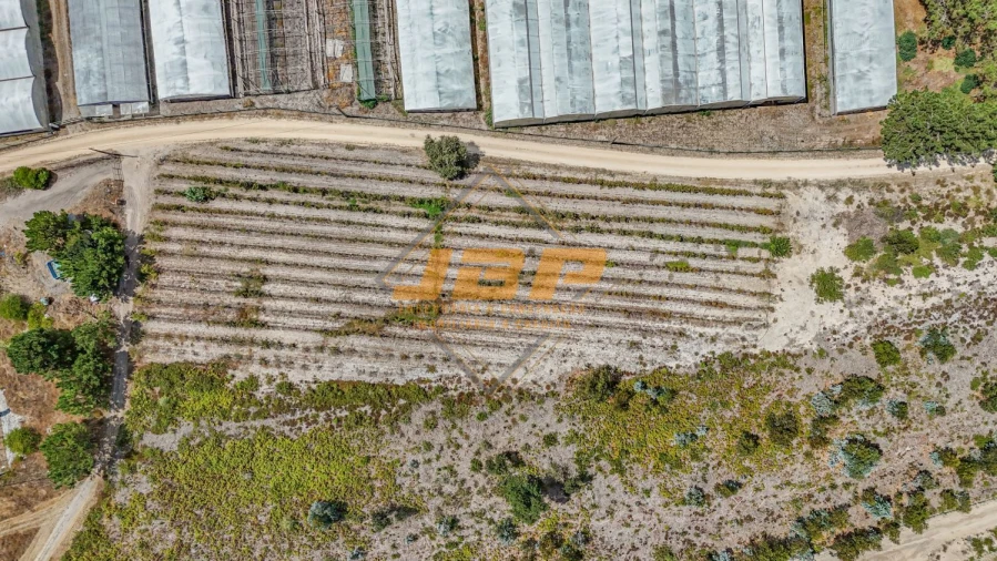 Terreno para Venda em Tornada e Salir do Porto Foto 7