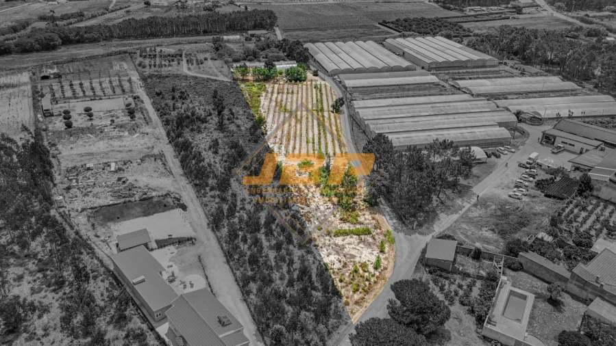 Terreno para Venda em Tornada e Salir do Porto Foto 3