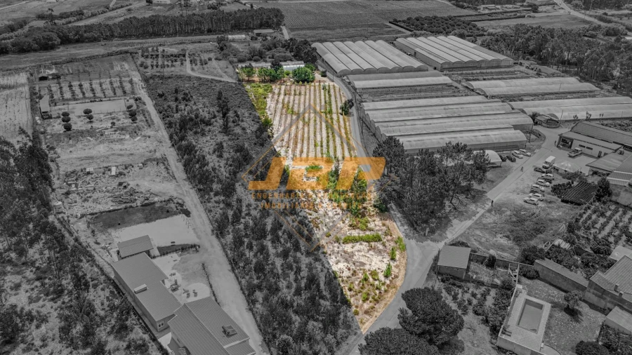 Terreno para Venda em Tornada e Salir do Porto